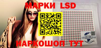 индика Нальчик